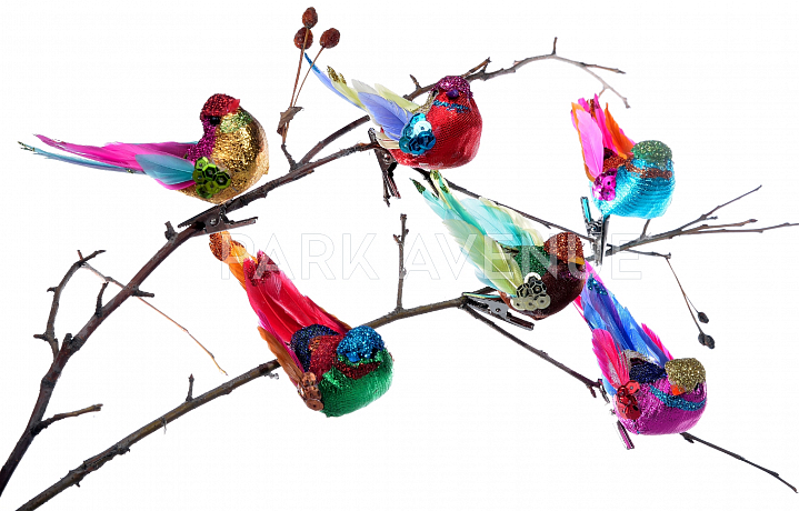 "Птица на зажиме"